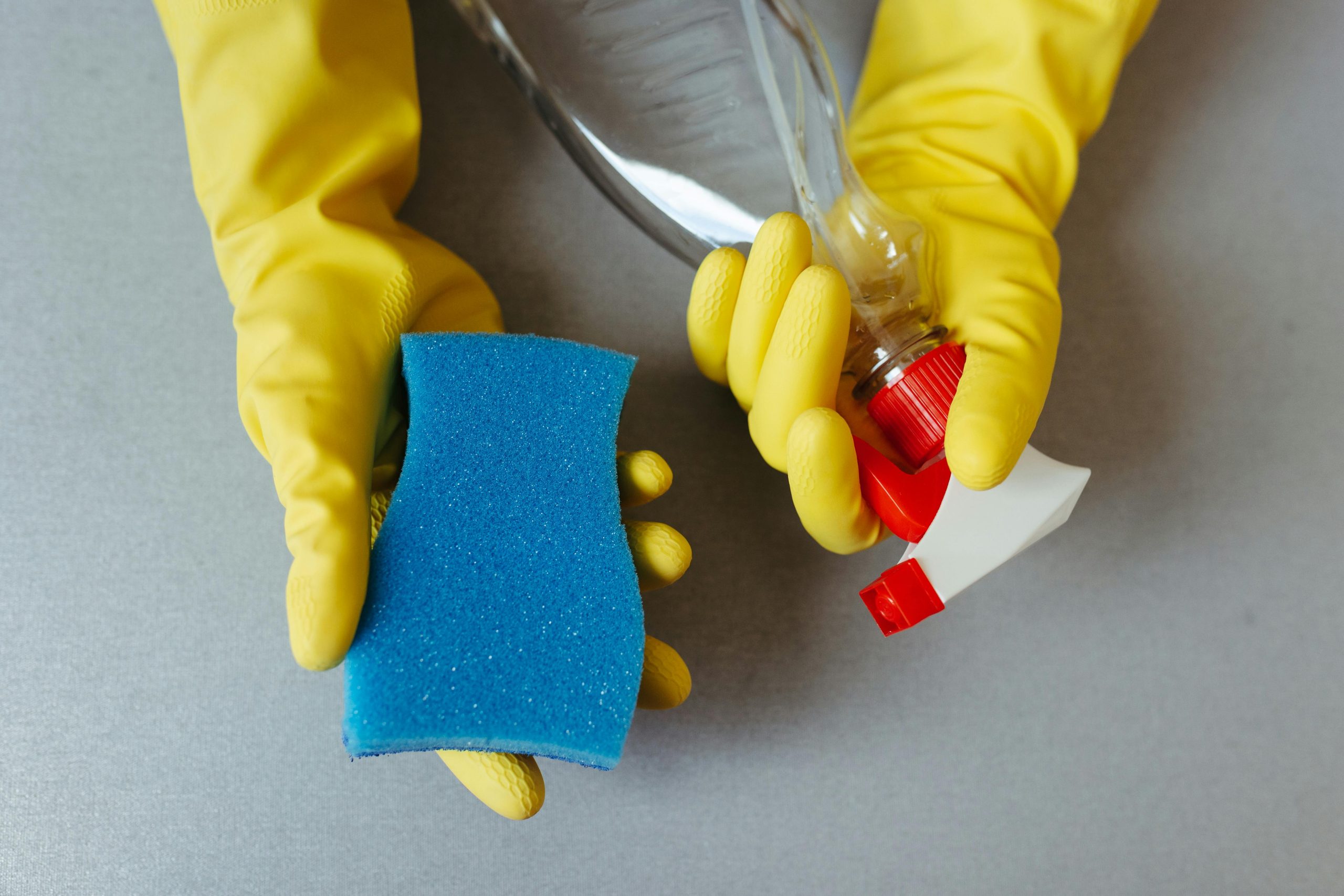 close-up of gloved hands holding a sprayer and a sponge