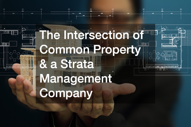 The Intersection of Common Property and a Strata Management Company